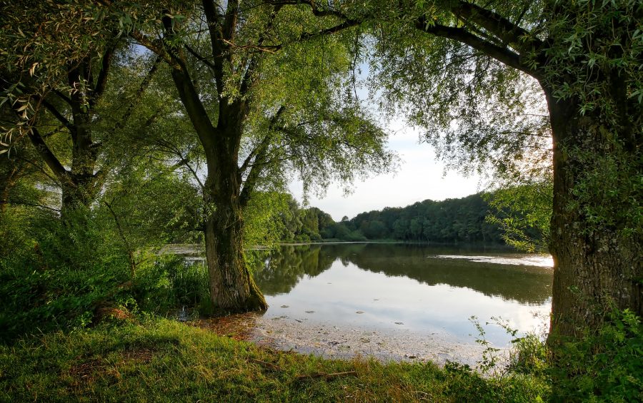 camping lac de Neguenou